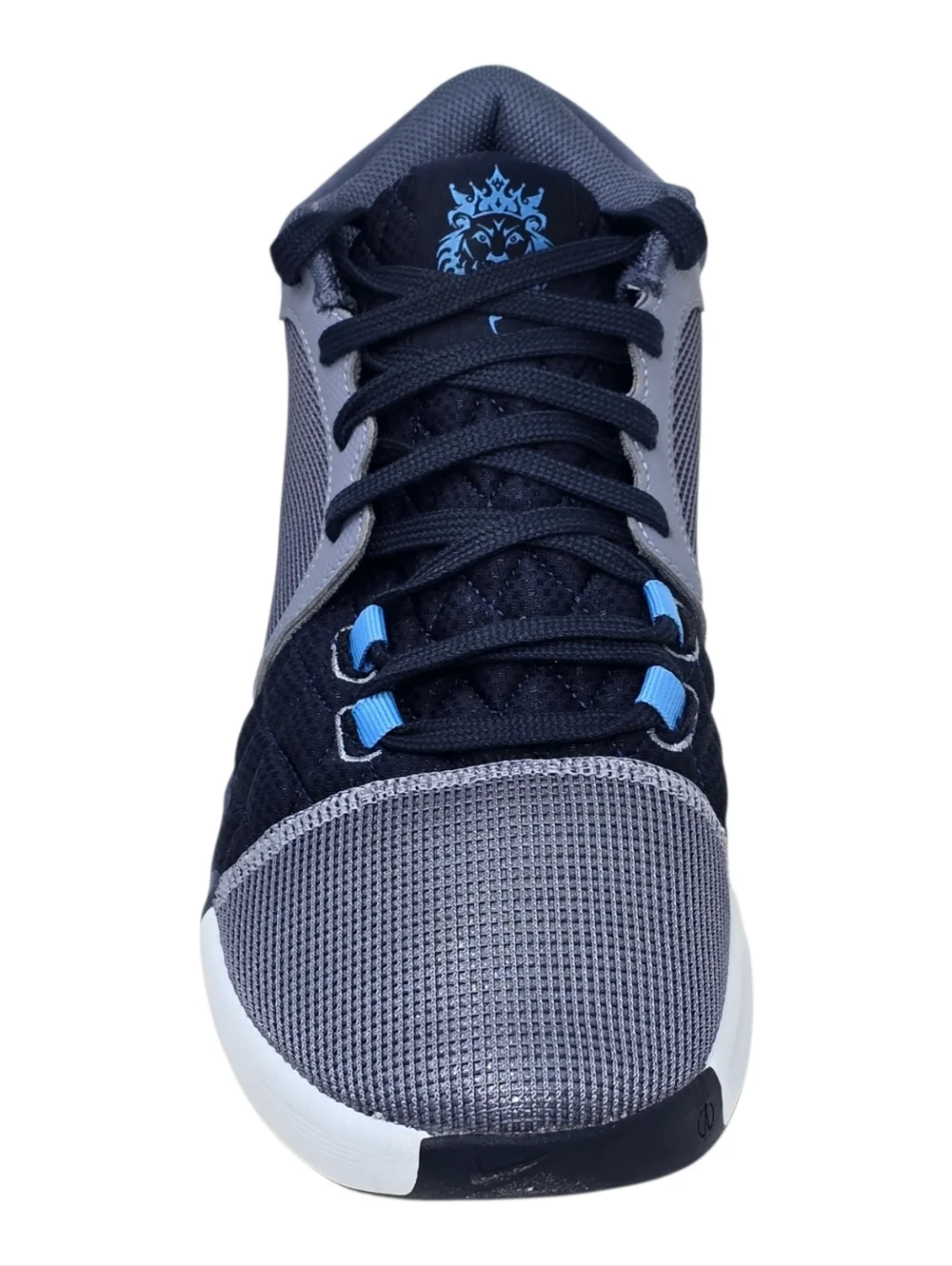Nike LeBron Witness 8 Ashen Slate Sierra Canyon Brand New Sizes FB2239-400